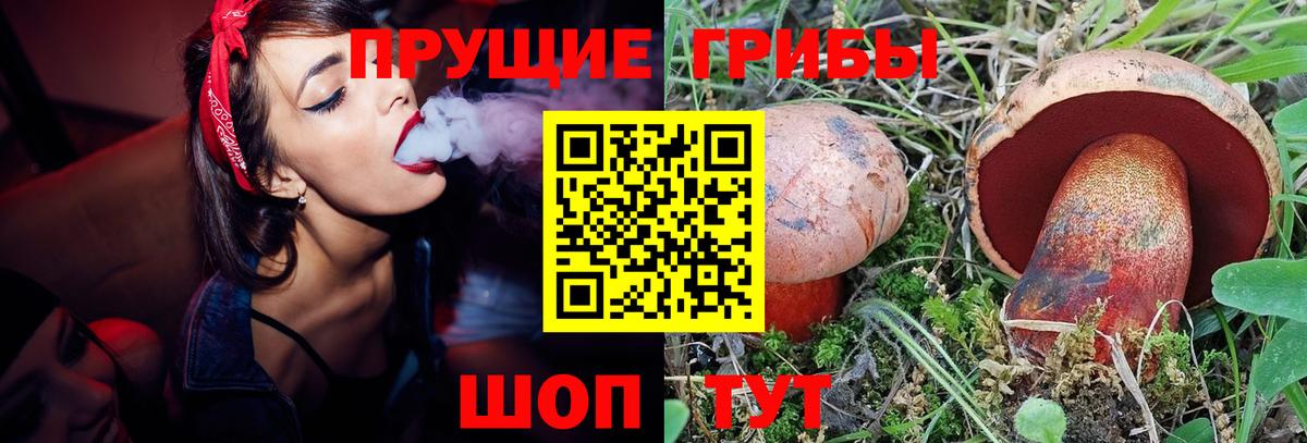 Псилоцибиновые грибы Cubensis  Вход с VPN  Красноуфимск  наркошоп  Галлюциногенные грибы Cubensis 